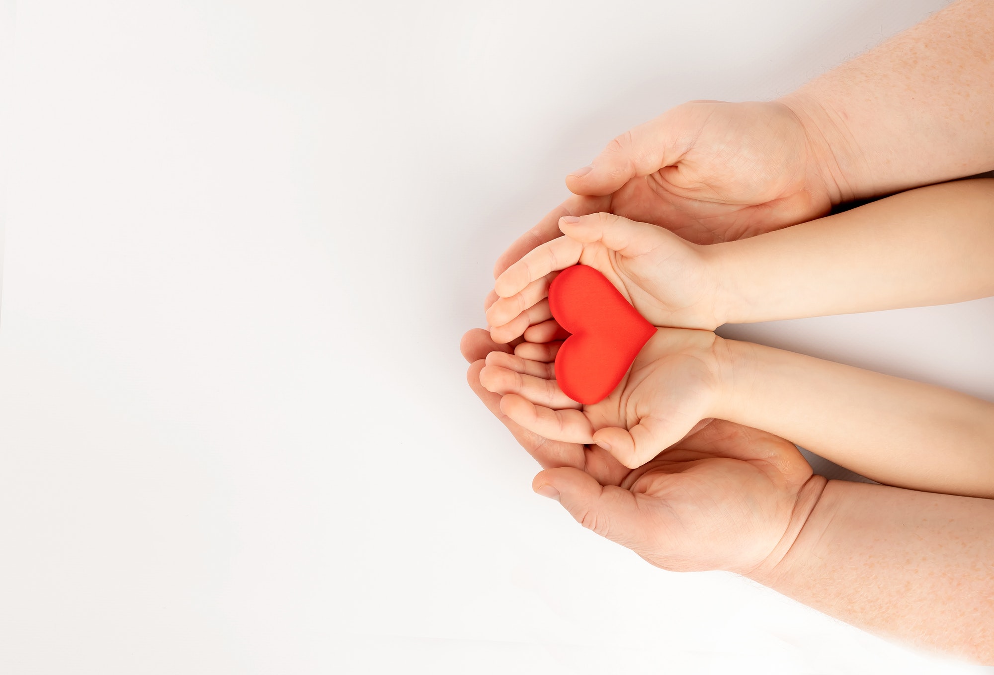 Red heart in hands on white background